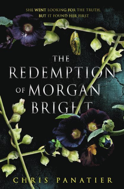 Chris Panatier - Redemption of Morgan Bright, E-bok