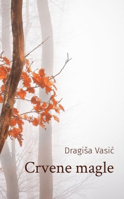 Dragisa Vasic - Crvene magle, E-bok