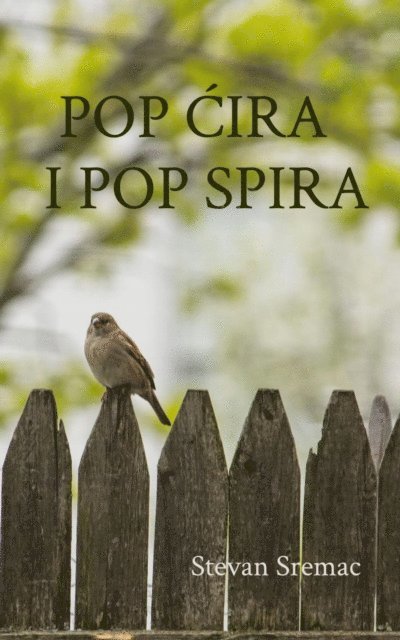 Stevan Sremac - Pop Cira i pop Spira, E-bok