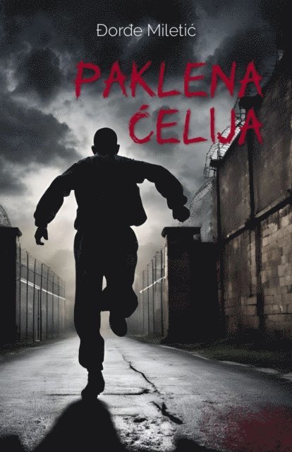 Djordje Miletic - Paklena celija, E-bok