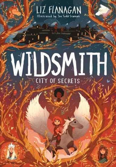 City of Secrets av Liz Flanagan