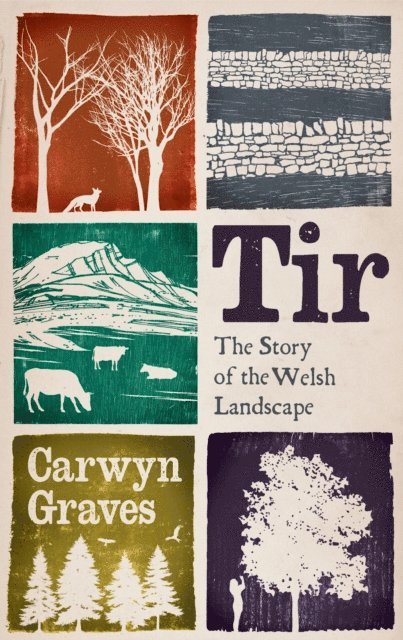 Carwyn Graves - Tir, E-bok. Tillgänglighet: Lägg i varukorg