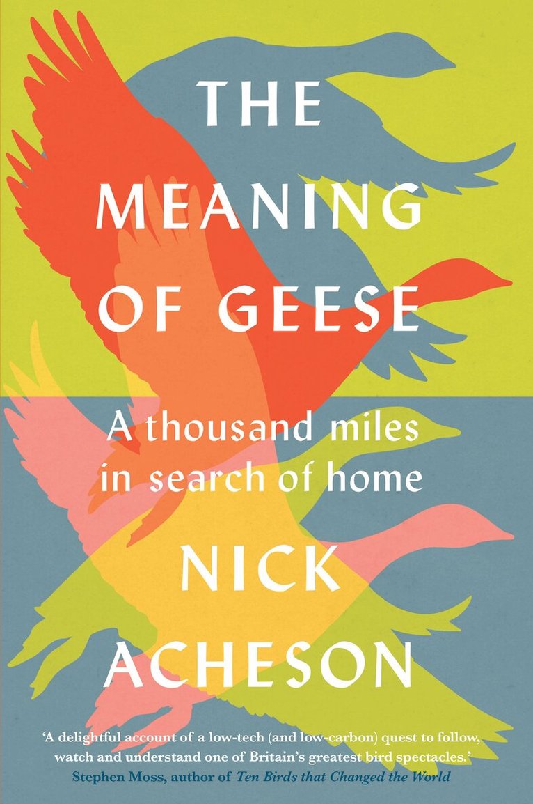 Nick Acheson - Meaning of Geese, Inbunden. Tillgänglighet: Tillfälligt slut