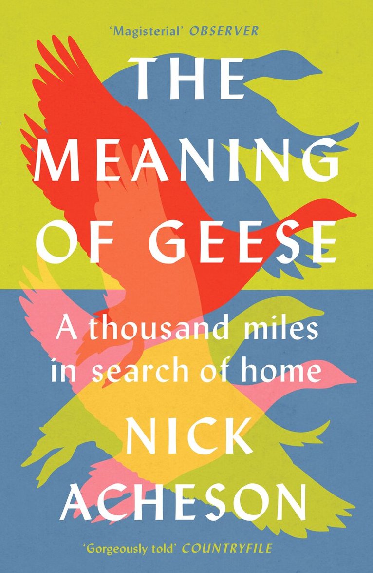 Nick Acheson - Meaning of Geese, Häftad. Tillgänglighet: Lägg i varukorg