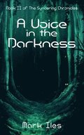 Voice in the Darkness