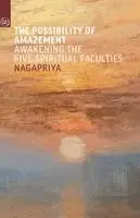 Possibility of Amazement
