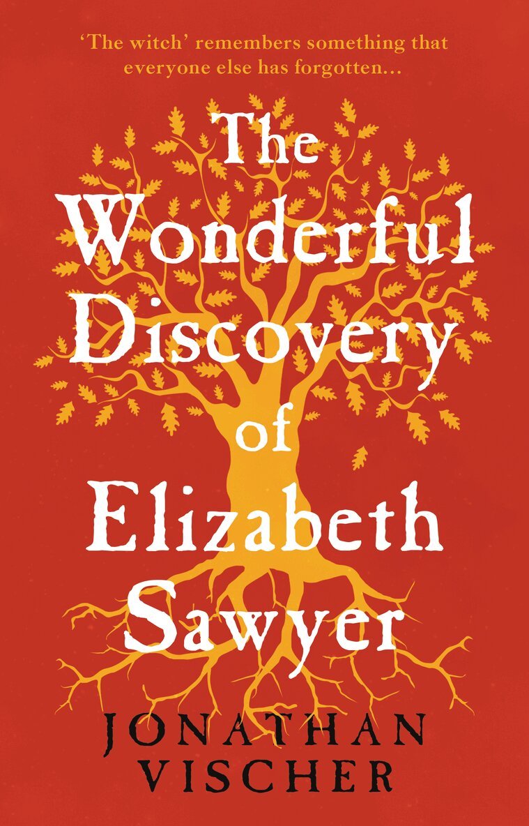 Jonathan Vischer - Wonderful Discovery of Elizabeth Sawyer, Häftad