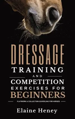 Dressage training and competition exercises for beginners - Flatwork & collection schooling for horses