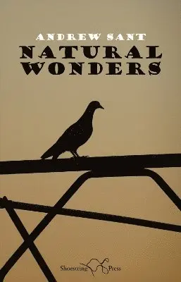 Andrew Sant - Natural Wonders, Häftad. Tillgänglighet: Lägg i varukorg