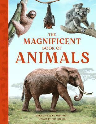 Tom Jackson - Magnificent Book of Animals, Häftad