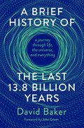 Brief History of the Last 13.8 Billion Years