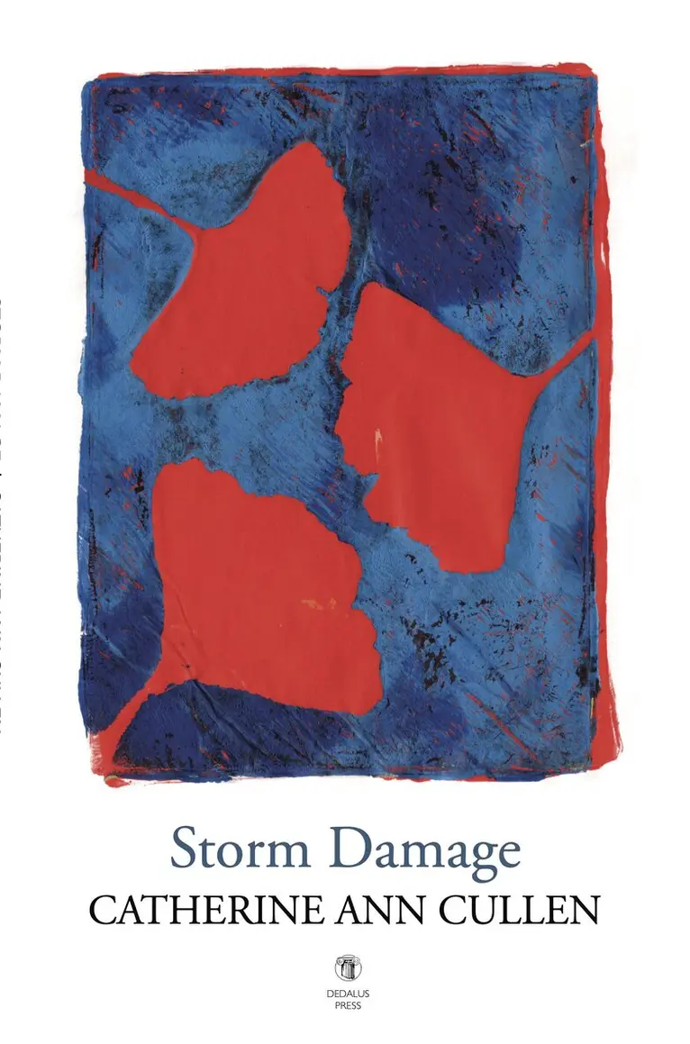 Catherine Ann Cullen - Storm Damage, Häftad. Tillgänglighet: Lägg i varukorg