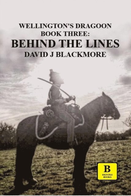 David J Blackmore - Behind the Lines, E-bok