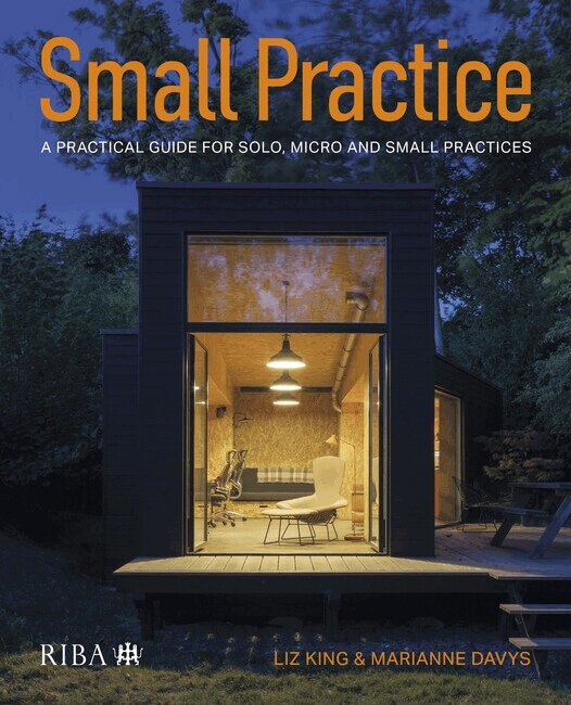Liz King, Marianne Davys - Small Practice, Häftad