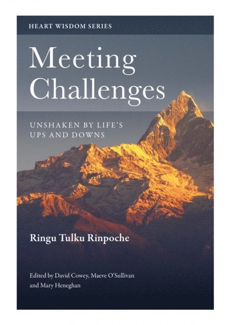 Ringu Tulku, Maeve O'Sullivan, David Cowey - Meeting Challenges, E-bok
