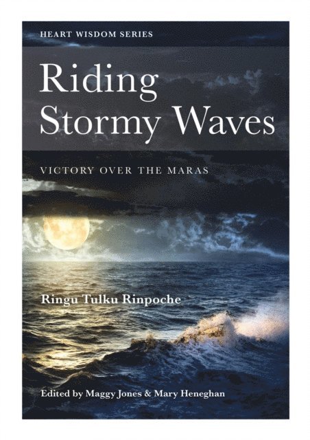 Ringu Tulku, Mary Heneghan, Maggy Jones - Riding Stormy Waves, E-bok