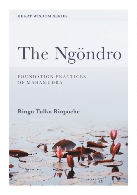 Ringu Tulku - Ngondro, E-bok