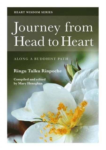 Ringu Tulku, Mary Heneghan - Journey from Head to Heart, E-bok