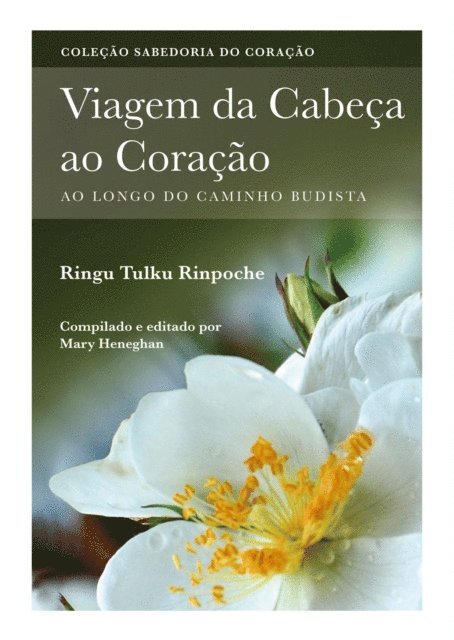 Ringu Tulku, Mary Heneghan - Viagem da Cabeç ao Coração, E-bok