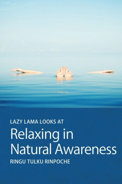 Ringu Tulku, Conrad Harvey - Lazy Lama looks at Relaxing in Natural Awareness, E-bok