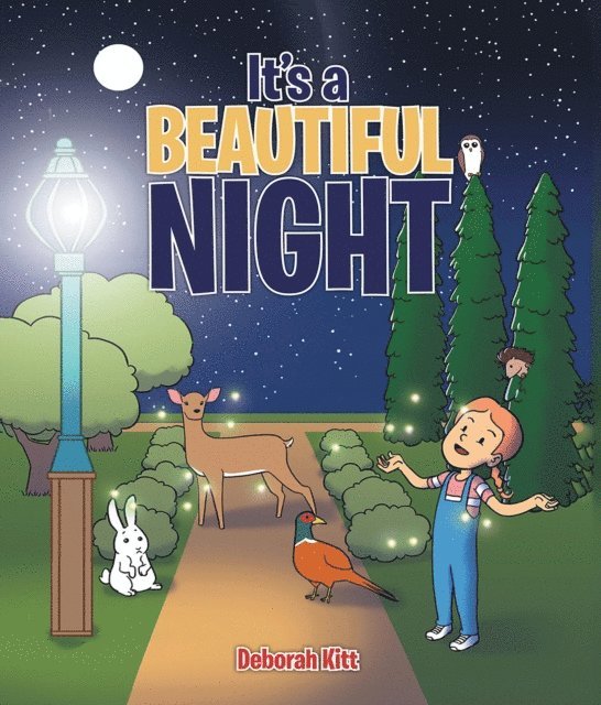 Deb Kitt - It's a Beautiful Night, E-bok