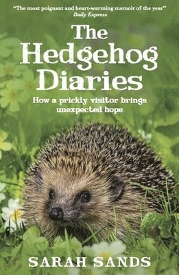 Sarah Sands - Hedgehog Diaries, Häftad