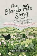Blackbird's Song & Other Wonders of Nature