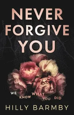 Hilly Barmby - Never Forgive You, Häftad. Tillgänglighet: Lägg i varukorg