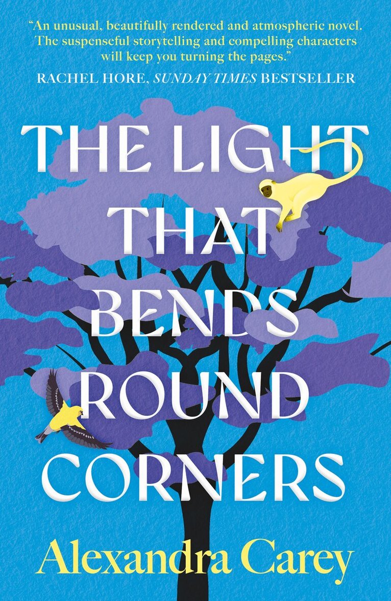 Alexandra Carey - Light That Bends Round Corners, Häftad