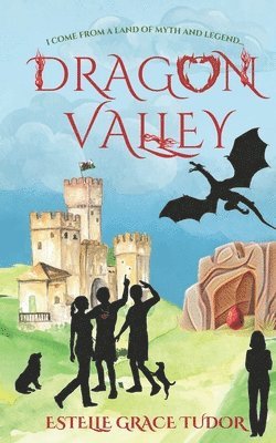 Estelle Grace Tudor - Dragon Valley, Häftad