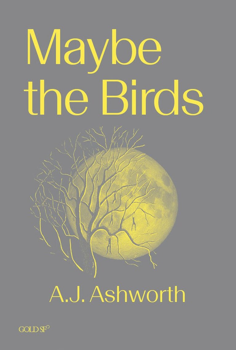 A. J. Ashworth - Maybe the Birds, Häftad