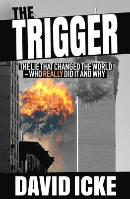 David Icke - Trigger, Häftad
