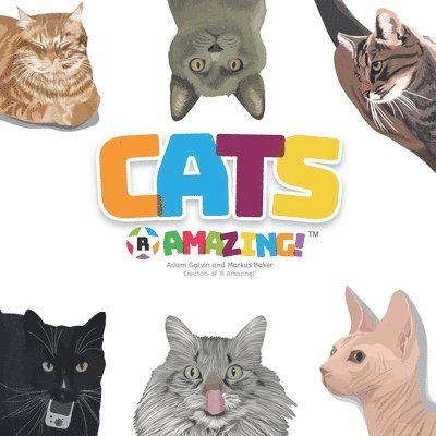 Adam Galvin, Mark Baker - Cats R Amazing!, Häftad