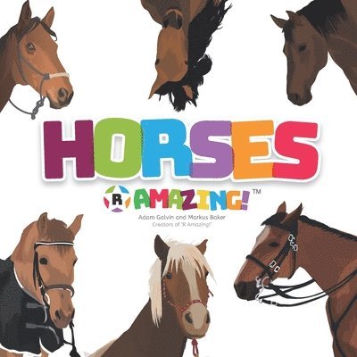Mark Baker, Adam Galvin - Horses R Amazing!, Häftad