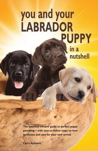 You and Your Labrador Puppy in a Nutshell