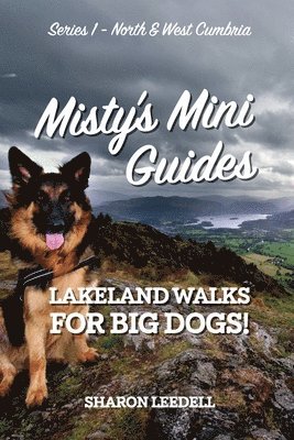 Sharon Leedell - Misty's Mini Guides, Häftad