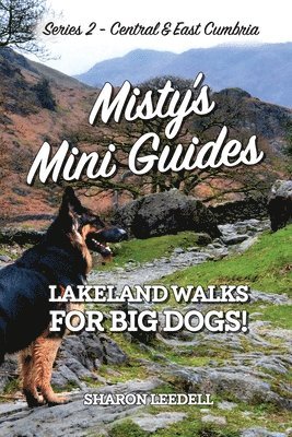 Sharon Leedell - Misty's Mini Guides, Häftad