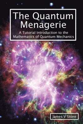 James V Stone - Quantum Menagerie, Häftad. Tillgänglighet: Lägg i varukorg