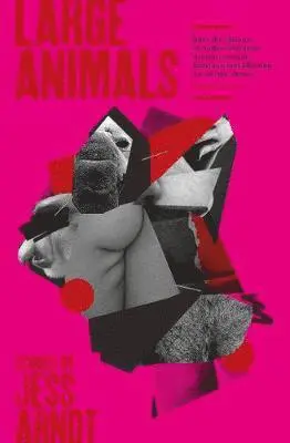 Jess Arndt - Large Animals, Häftad. Tillgänglighet: Lägg i varukorg