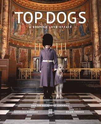 Georgina Montagu - Top Dogs, Inbunden