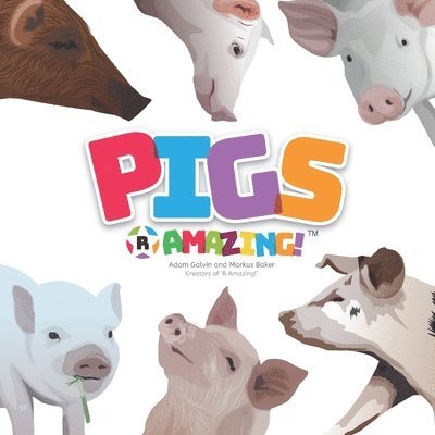 Adam Galvin, Mark Baker - Pigs R Amazing!, Häftad