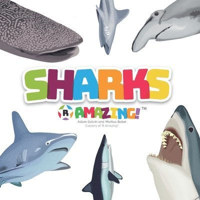 Adam Galvin, Mark Baker - Sharks R Amazing!, Häftad