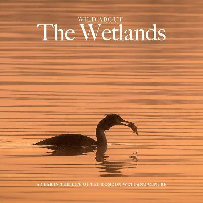 Andrew Wilson - Wild about The Wetlands, Inbunden