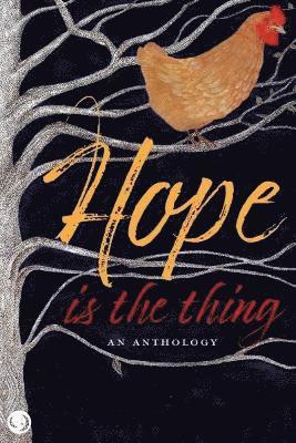 Samiha Meah - Hope is the thing, Häftad