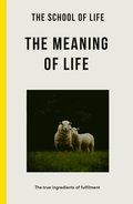 Meaning of Life
