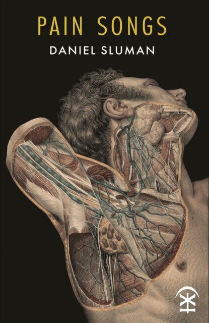 Daniel Sluman - Pain Songs, E-bok