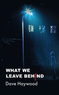 Dave Haywood - What We Leave Behind, Häftad