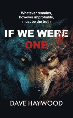 Dave Haywood - If We Were One, Häftad
