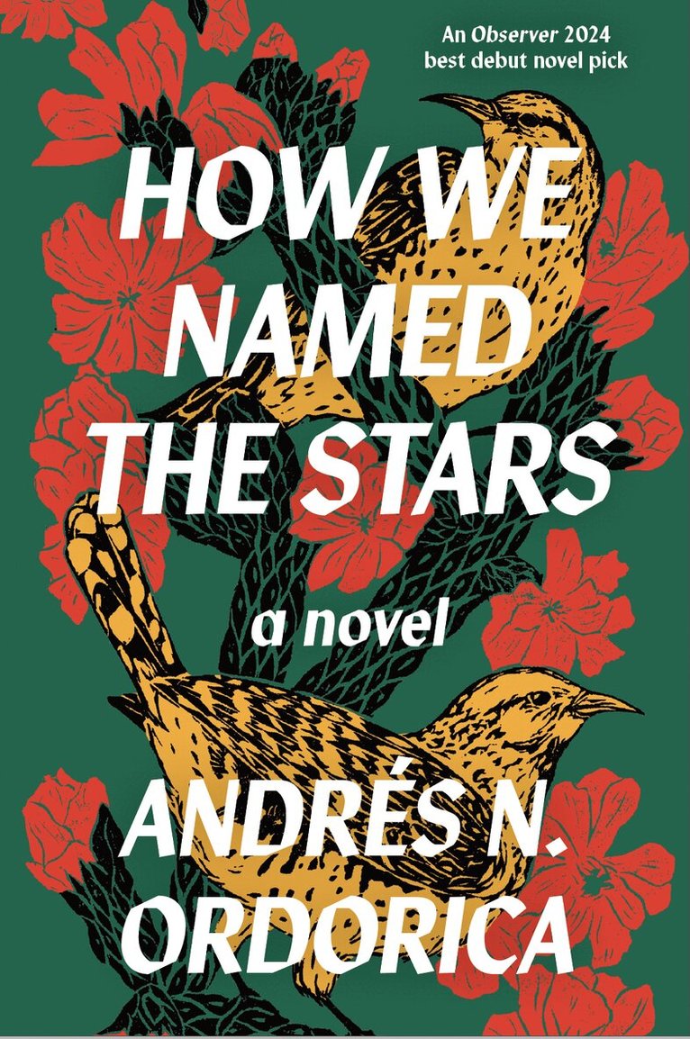 Andrés N. Ordorica - How We Named the Stars, Häftad