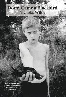 Nicholas Wilde - Down Came a Blackbird, Inbunden
